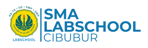 e-Assessment SMA